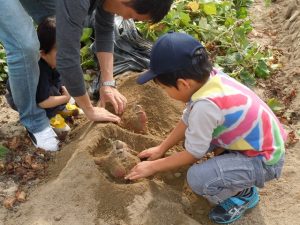 愛知県の秋の味覚&果物狩りスポット8選!ぶどう狩り・みかん狩り・芋掘りなど