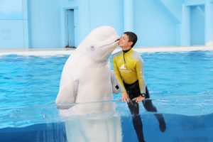 「シーパラの秋みーつけた!」横浜・八景島シーパラダイスの秋イベントは9月18日スタート