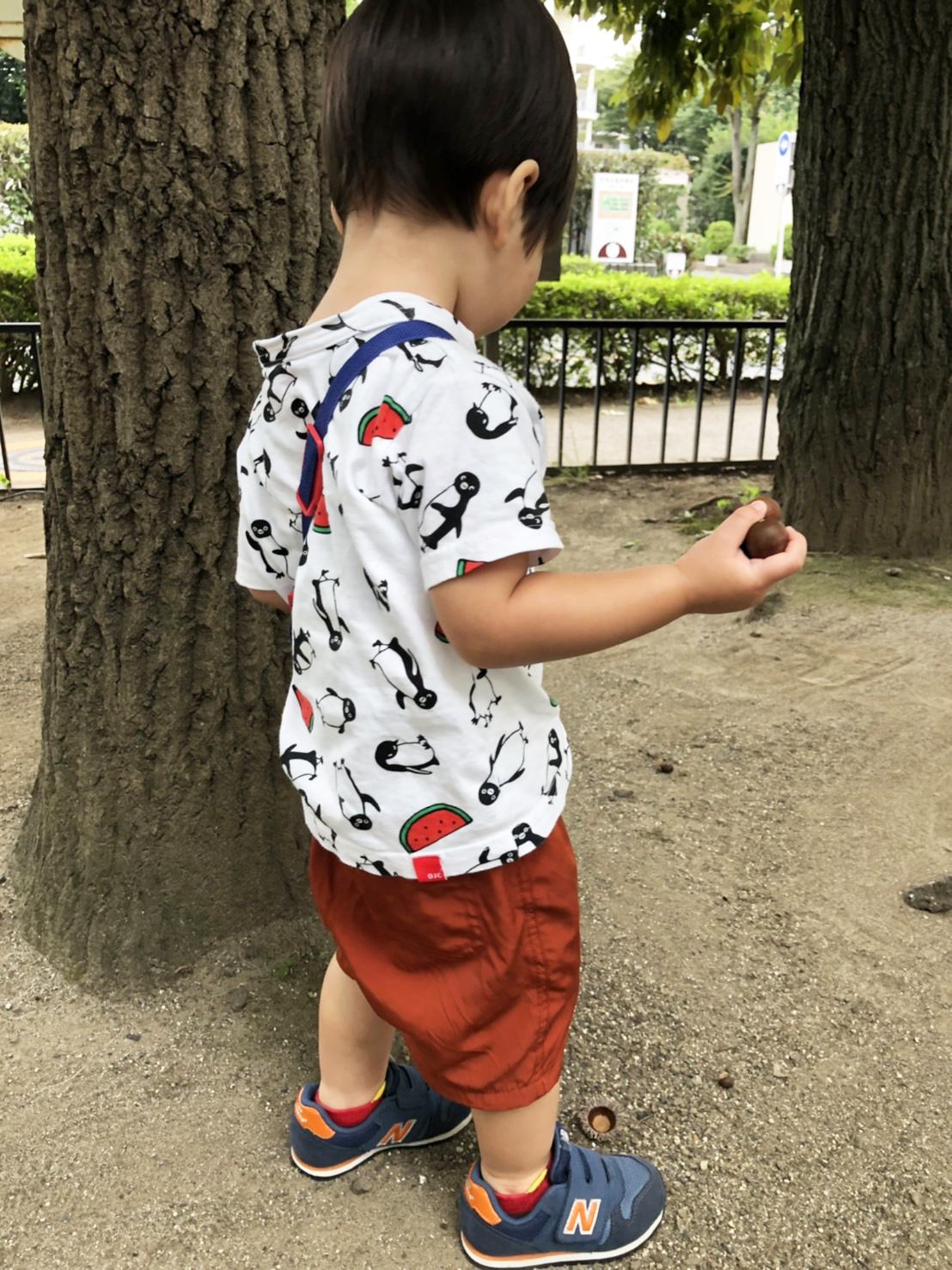 どんぐりを拾う子