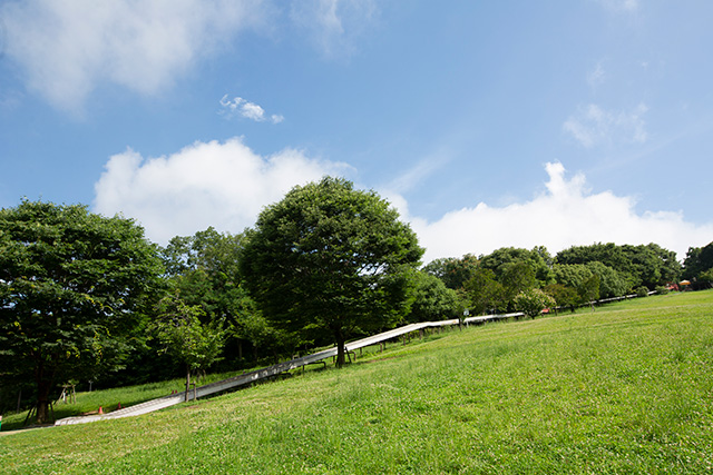 ローラースライダーと隣に広がる広場/LOGOS LAND(ロゴスランド)(京都府/城陽市)