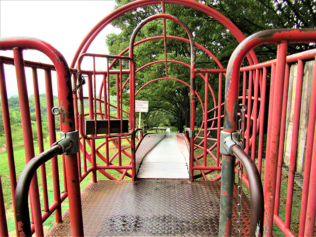 長いローラースライダー/LOGOS LAND(ロゴスランド)(京都府/城陽市)