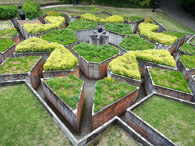 「ネットの森」/「星の迷路」/彫刻の森美術館(神奈川県/箱根町)