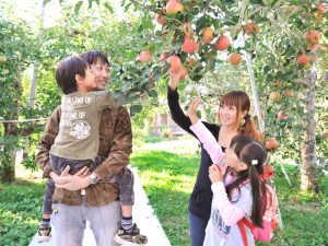 沼田市周辺の秋の味覚&果物狩りスポット8選!りんご狩り・ぶどう狩りなど