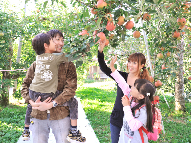 沼田市周辺の秋の味覚&果物狩りスポット8選！りんご狩り・ぶどう狩りなど