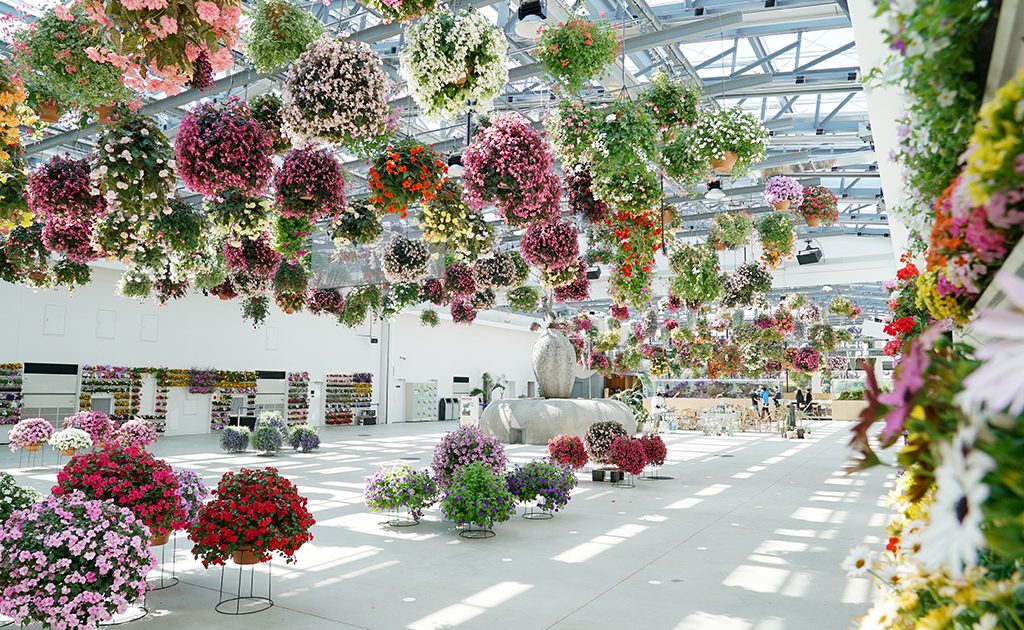 よみうりランド隣にあるHANA・BIYORIは新感覚のフラワーパーク