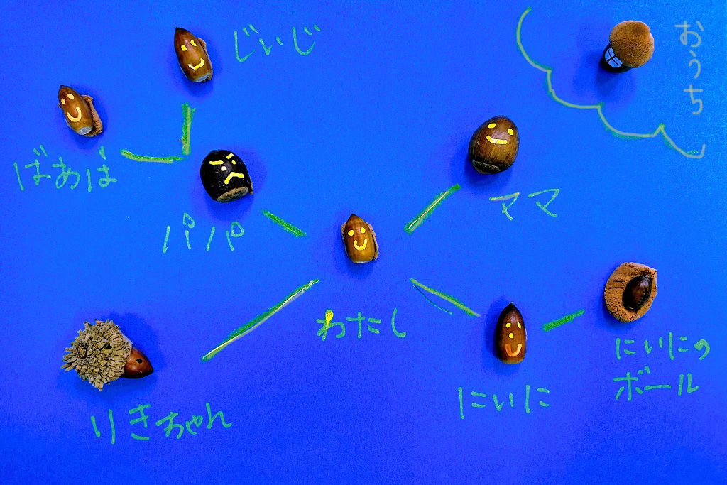どんぐりで家系図
