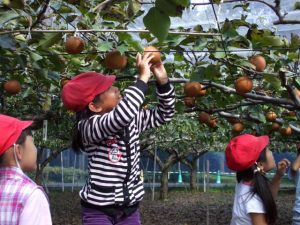 埼玉県の秋の味覚&果物狩りスポット13選!ぶどう狩り・栗拾い・梨狩りなど