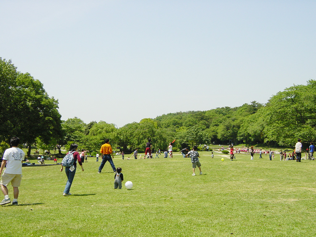 広い芝生広場/愛知県森林公園(愛知県/尾張旭市)