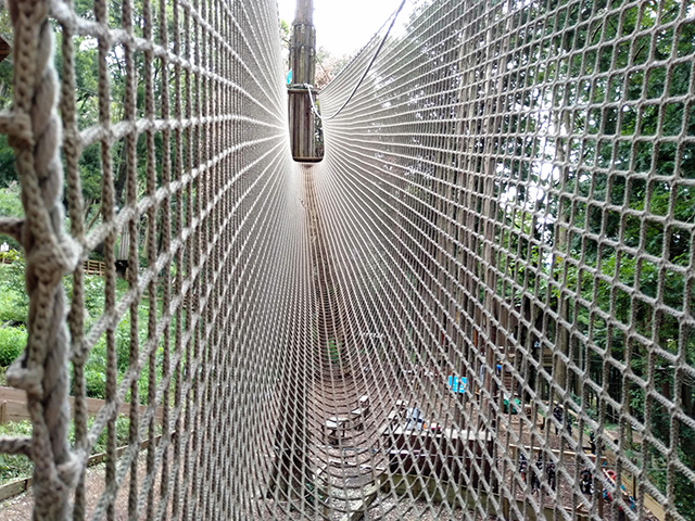 難易度1の「チベタンブリッジ」/フォレストアドベンチャー・箱根(神奈川県/箱根町)