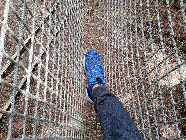 難易度1の「チベタンブリッジ」/フォレストアドベンチャー・箱根(神奈川県/箱根町)