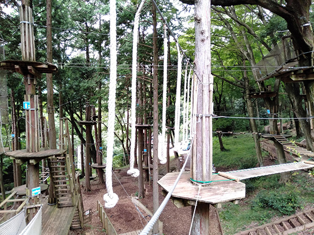 「ジャングルクロッシング」/フォレストアドベンチャー・箱根(神奈川県/箱根町)