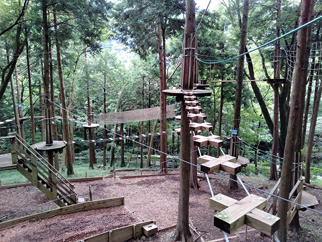 「ジャングルクロッシング」/フォレストアドベンチャー・箱根(神奈川県/箱根町)
