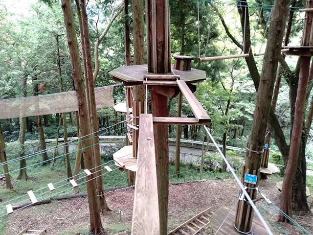 難易度3/フォレストアドベンチャー・箱根(神奈川県/箱根町)