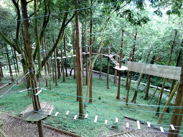 フォレストアドベンチャー・箱根(神奈川県/箱根町)