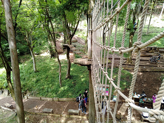 難易度3「スパイダーウェブ」/フォレストアドベンチャー・箱根(神奈川県/箱根町)