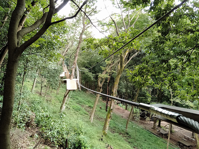 フォレストアドベンチャー・箱根(神奈川県/箱根町)