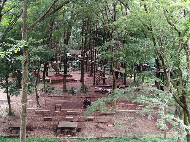 「アルパインジップスライド」/フォレストアドベンチャー・箱根(神奈川県/箱根町)