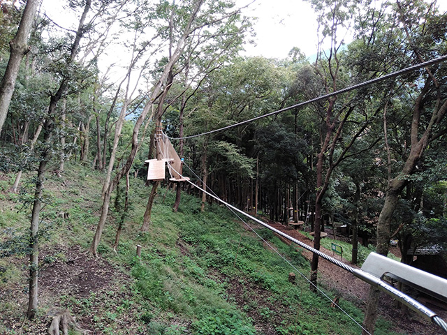 「アルパインジップスライド」/フォレストアドベンチャー・箱根(神奈川県/箱根町)