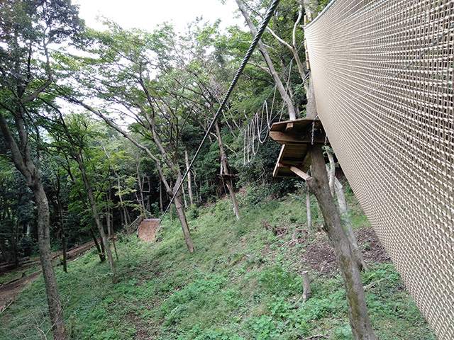 フォレストアドベンチャー・箱根(神奈川県/箱根町)