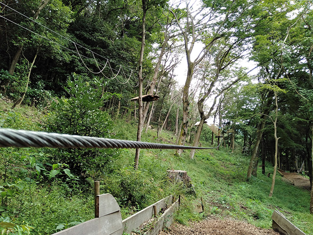 フォレストアドベンチャー・箱根(神奈川県/箱根町)
