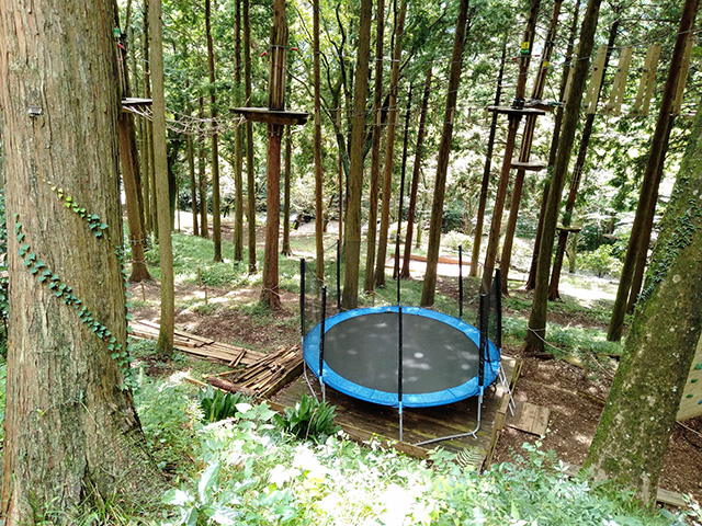 直径3mの巨大トランポリン/フォレストアドベンチャー・箱根(神奈川県/箱根町)