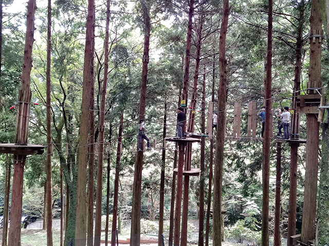 「アドベンチャーコース」/フォレストアドベンチャー・箱根(神奈川県/箱根町)