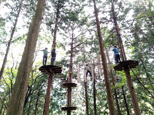 「アドベンチャーコース」/フォレストアドベンチャー・箱根(神奈川県/箱根町)