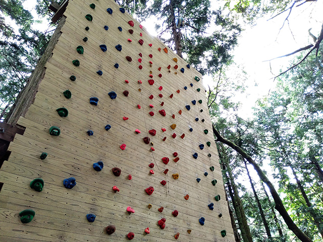 「クリフチャレンジャー」/フォレストアドベンチャー・箱根(神奈川県/箱根町)