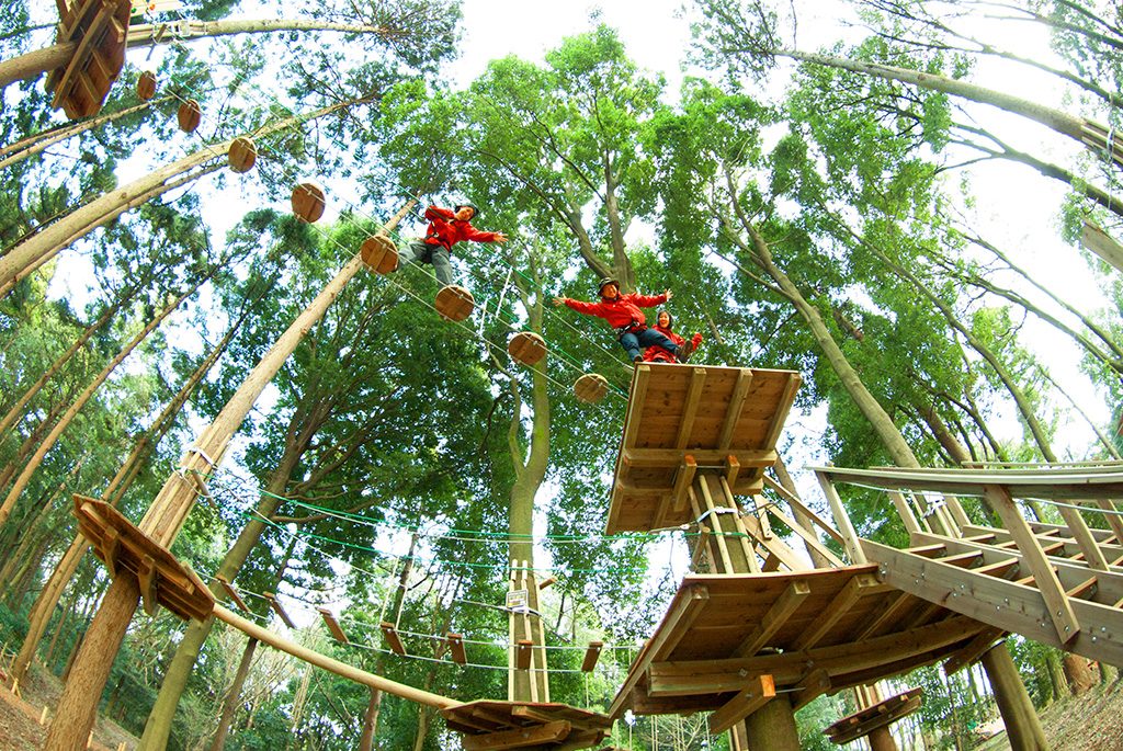フォレストアドベンチャー・箱根（神奈川県/箱根町）
