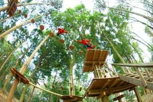 フォレストアドベンチャー・箱根で大冒険!! 子どもとキャノピーコースを攻略しよう！