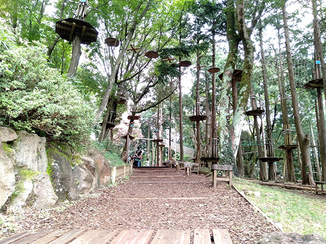 フォレストアドベンチャー・箱根(神奈川県/箱根町)