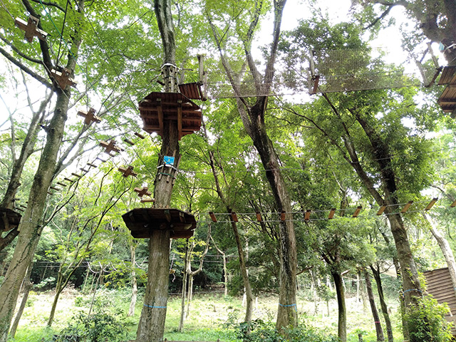 フォレストアドベンチャー・箱根(神奈川県/箱根町)