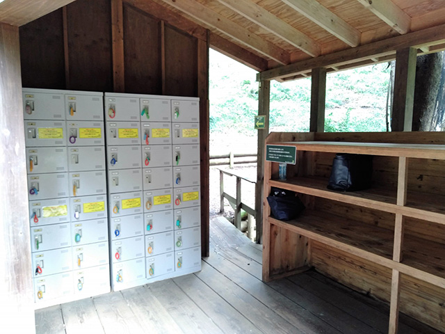 フォレストアドベンチャー・箱根(神奈川県/箱根町)