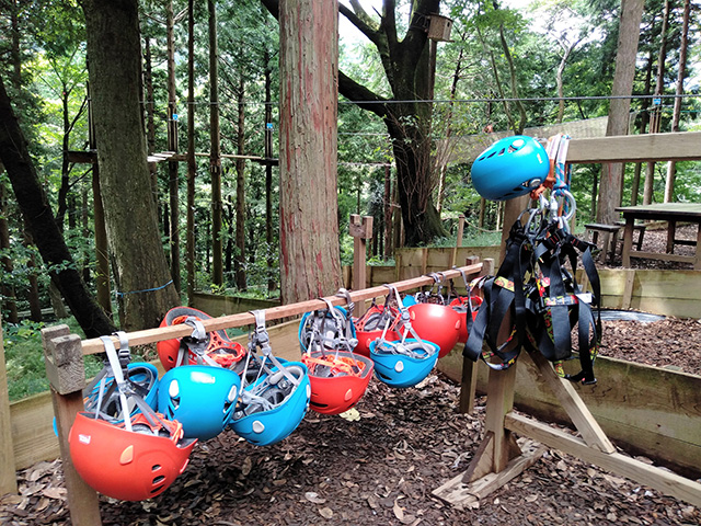 安全装置とハーネス/フォレストアドベンチャー・箱根(神奈川県/箱根町)