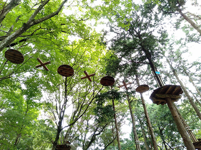 フォレストアドベンチャー・箱根(神奈川県/箱根町)