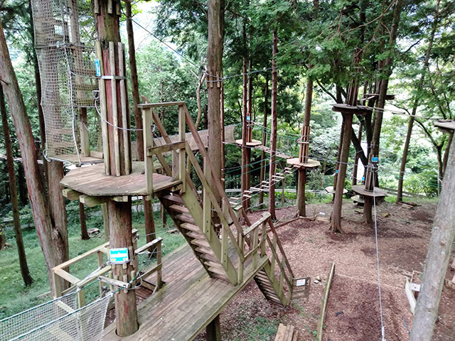 「キャノピーコース」/フォレストアドベンチャー・箱根(神奈川県/箱根町)