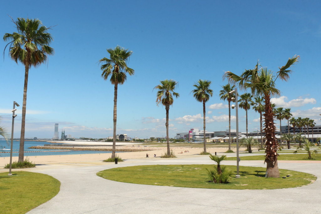 目の前に海が広がる泉南りんくう公園（大阪府/泉南市）