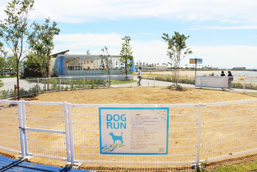 広々としたドッグラン/泉南りんくう公園（大阪府/泉南市）