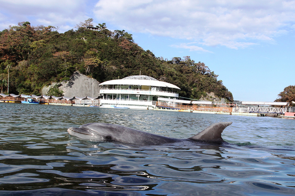 自然がいっぱいの下田海中水族館（静岡県/下田市）