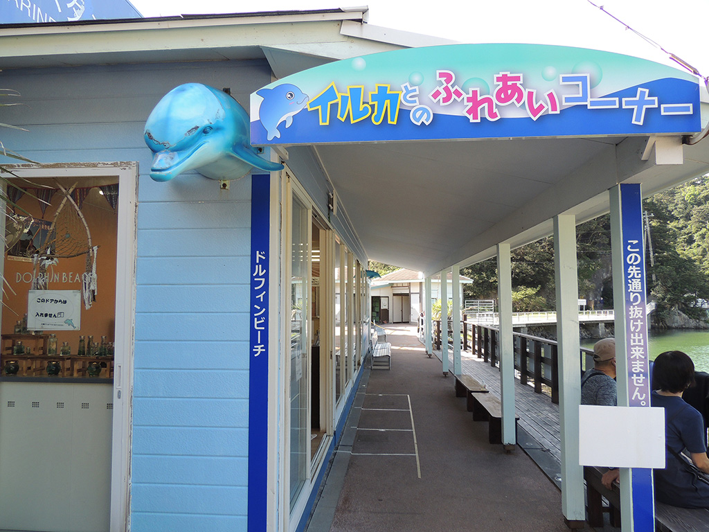 「イルカとのふれあいコーナー」/下田海中水族館（静岡県/下田市）