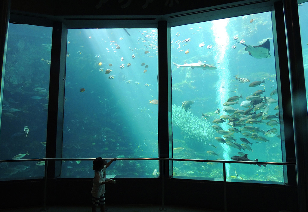 下田海中水族館の大水槽（静岡県/下田市）