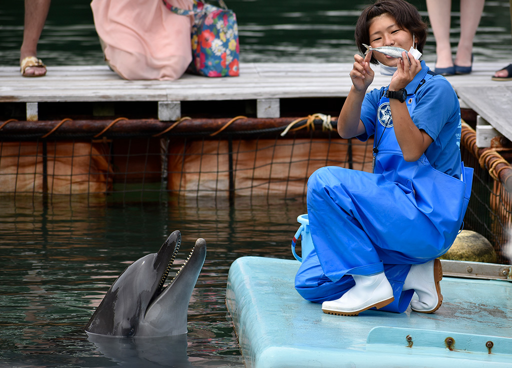 エサの解説をする飼育員さん/下田海中水族館（静岡県/下田市）