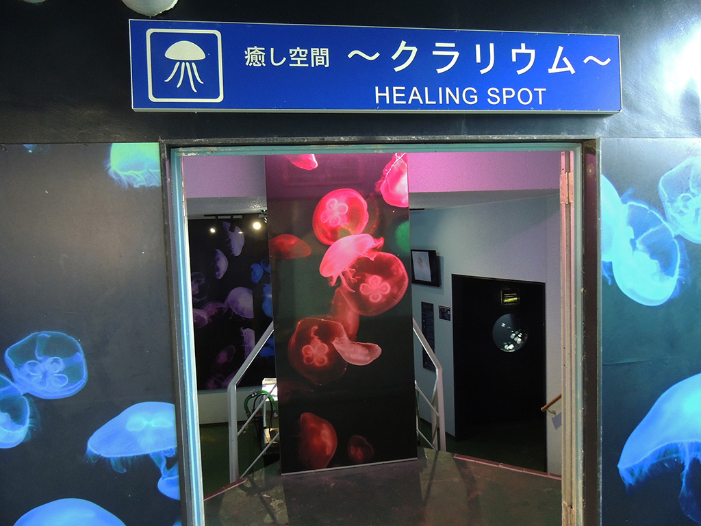 クラリウムの入口/下田海中水族館（静岡県/下田市）