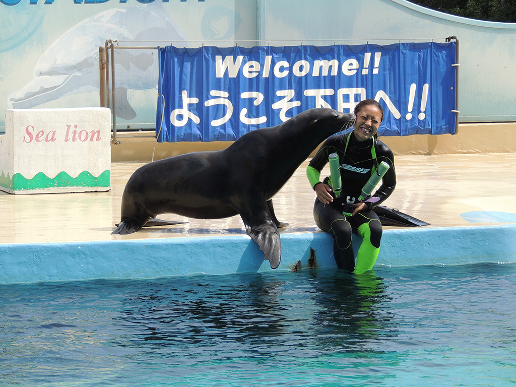 トレーナーさんにキスをするカリフォルニアアシカ/下田海中水族館（静岡県/下田市）