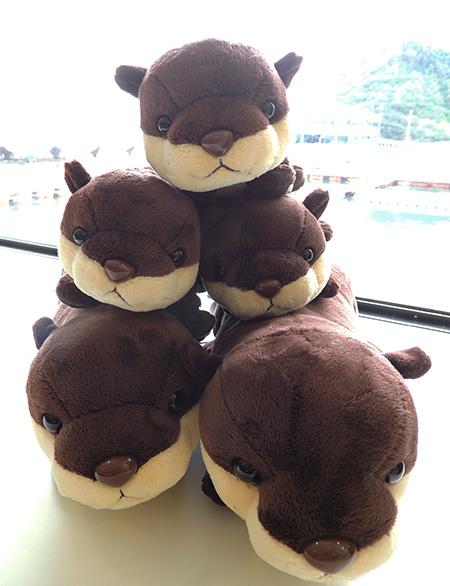 オリジナルカワウソぬいぐるみ/下田海中水族館（静岡県/下田市）