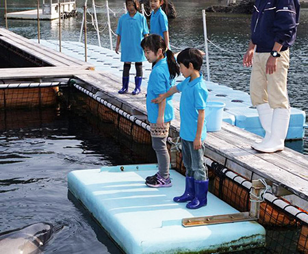 イルカへのサイン出しをする子ども達/下田海中水族館（静岡県/下田市）