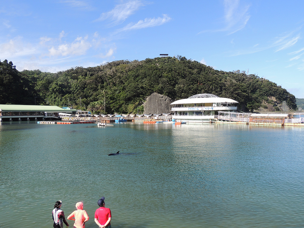 下田海中水族館の外観（静岡県/下田市）