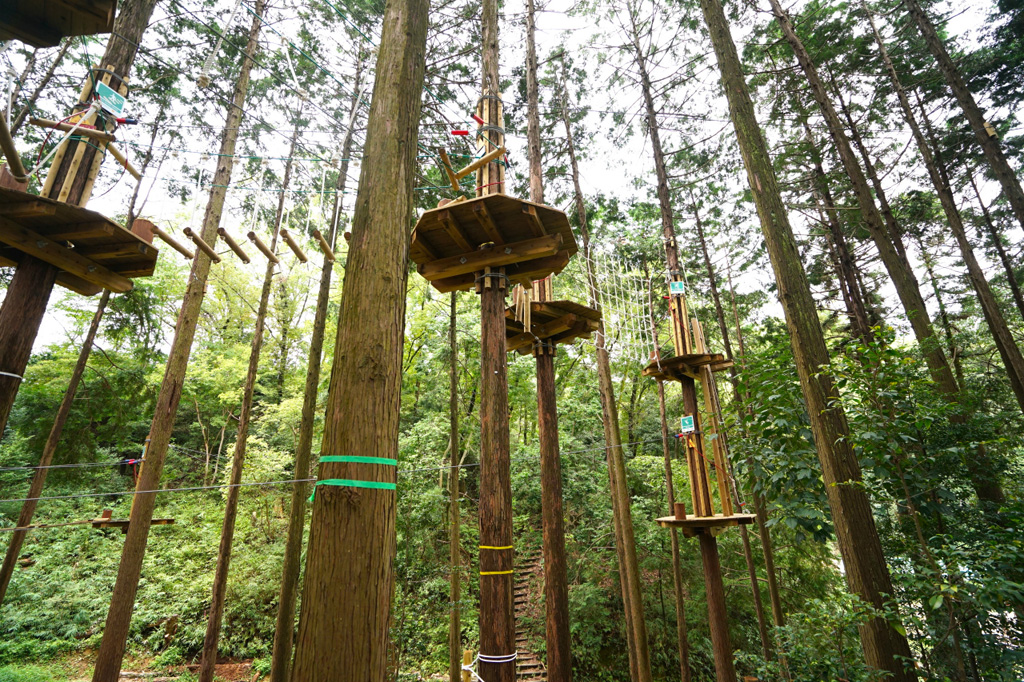 ディスカバリーとアドベンチャーのスタート/冒険の森inおうじ(奈良県王寺町)