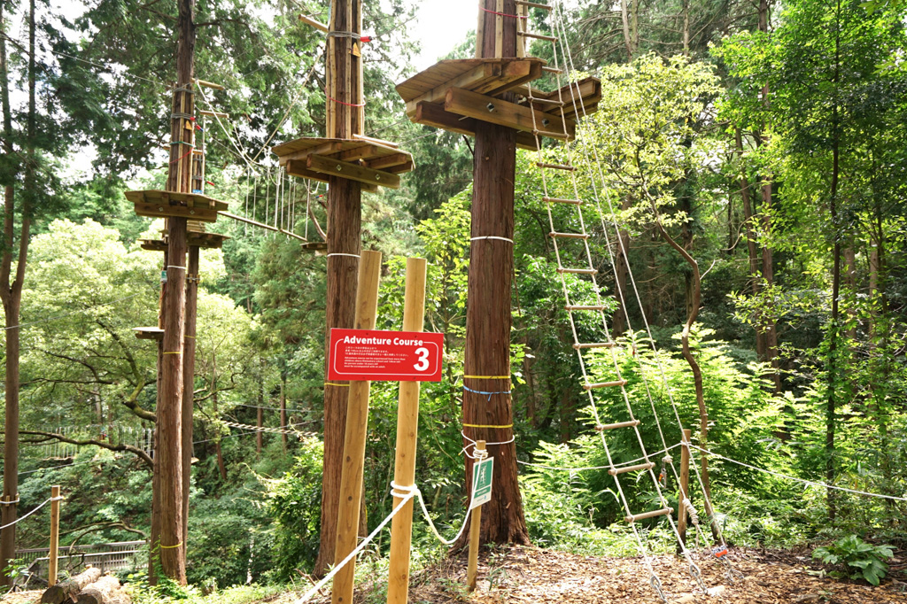 3つめのコース/冒険の森inおうじ(奈良県王寺町)
