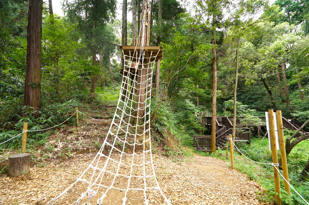 最後の5コースめ/冒険の森inおうじ(奈良県王寺町)